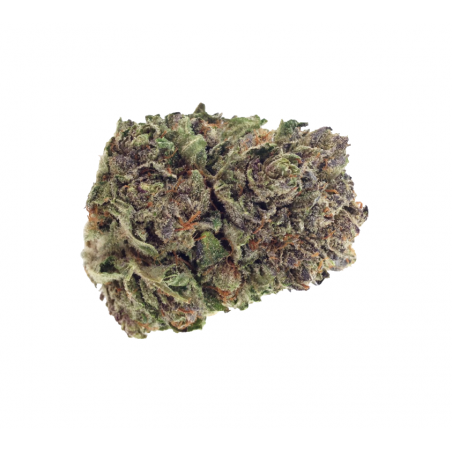 PURPLE PUNCH Weed 1 Gramm (THC 25%)