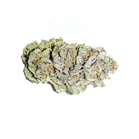 Super Silver Haze Weed (THC 23%)