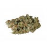 G-13 Haze Weed 1 Gramm (THC 21%)