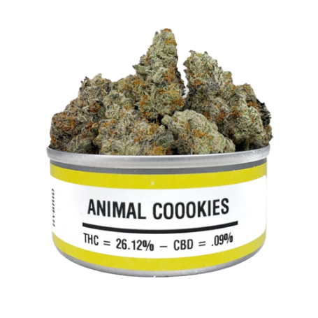 4 Gramm Cali Weed - Animal Cookies 26.12% THC