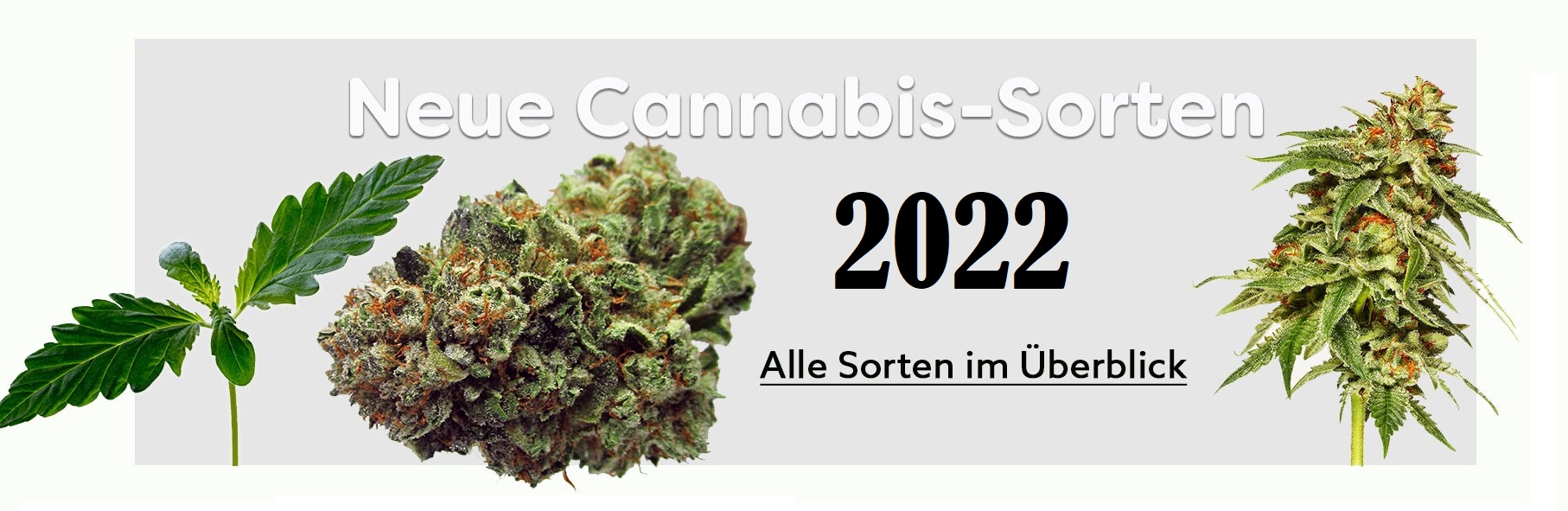 Neues Weed